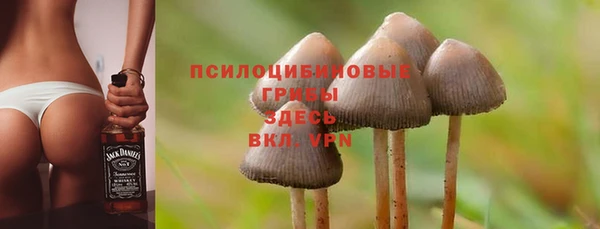 бутират Алзамай